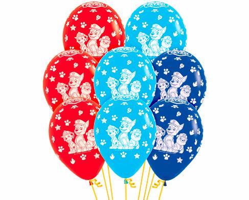 Globos surtidos paw patrol decoración